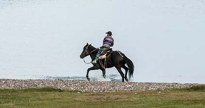 Try Your Hand at Horse Riding
